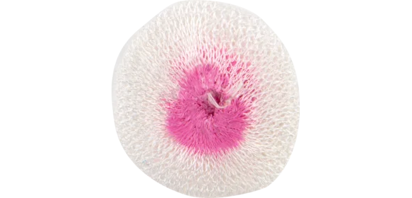 Glühstrümpfe S