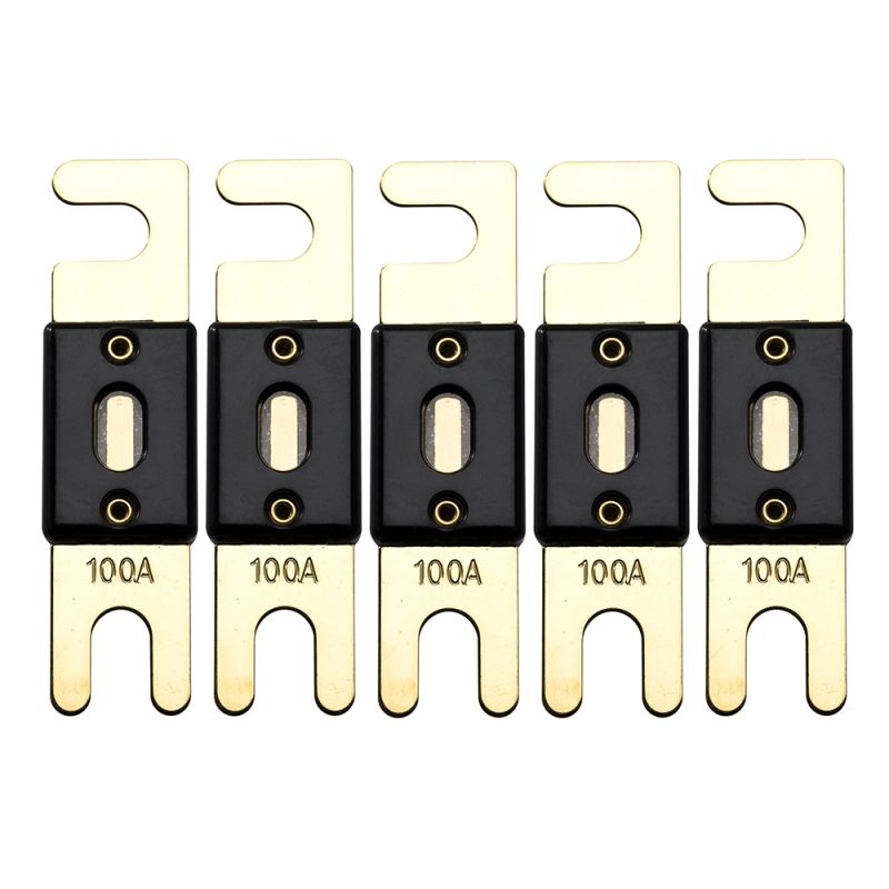 Offgridtec 100A 72V ANL Sicherung DIN43560/1 5er-Set